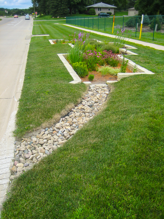 Forever Green Coralville Iowa Landscaping rain garden natural rainscapes stones