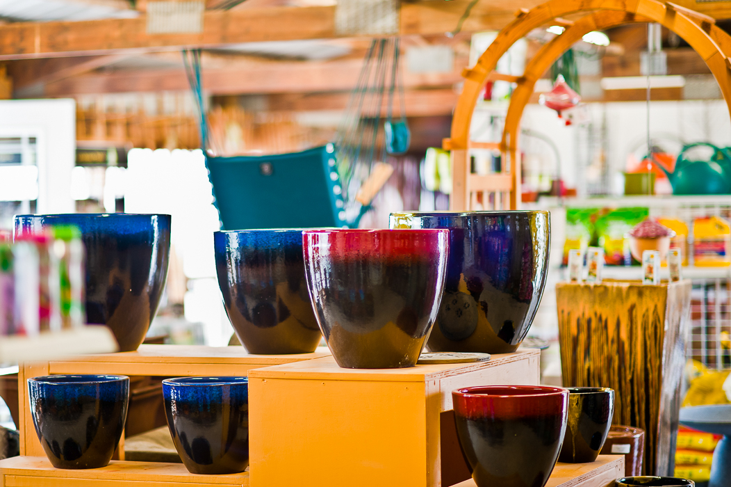 Forever Green Grows Coralville Iowa Garden Center up close flower pots